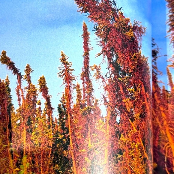 📚 An Inconvenient Truth by Al Gore - 2006 Vintage Printed Edition Bestseller📚 - Picture 8 of 16